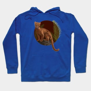 Fossa Hoodie